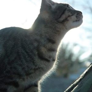 Meet your Posher, Marcy